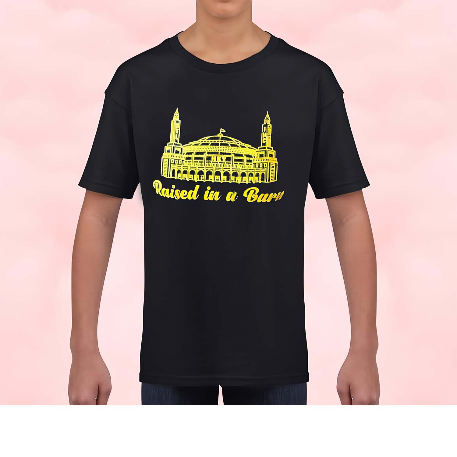 Raised In A Barn Shirt Raised In A Barn Shirt