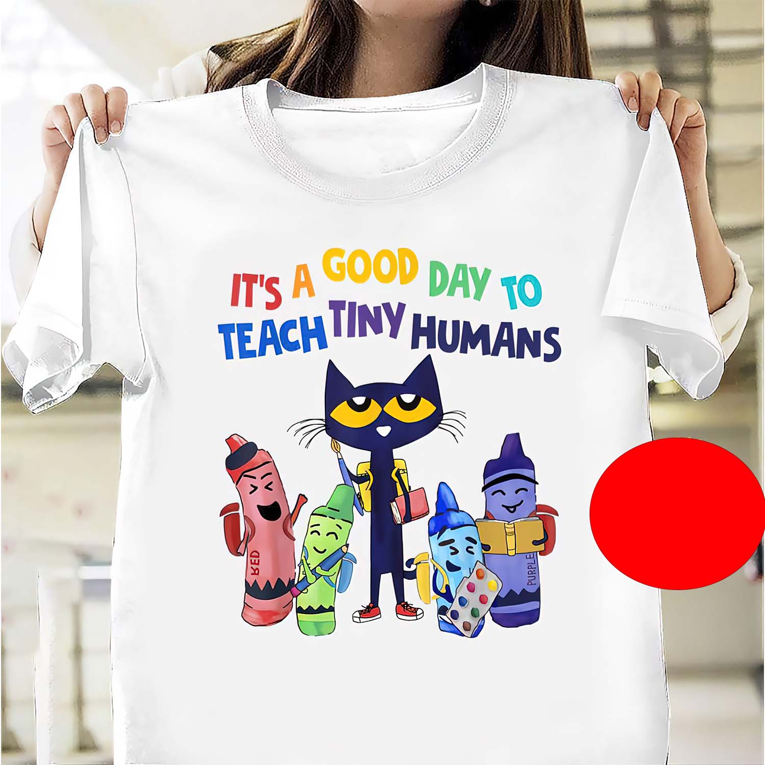 It’S A Good Day To Teach Tiny Humans Cat Shirt