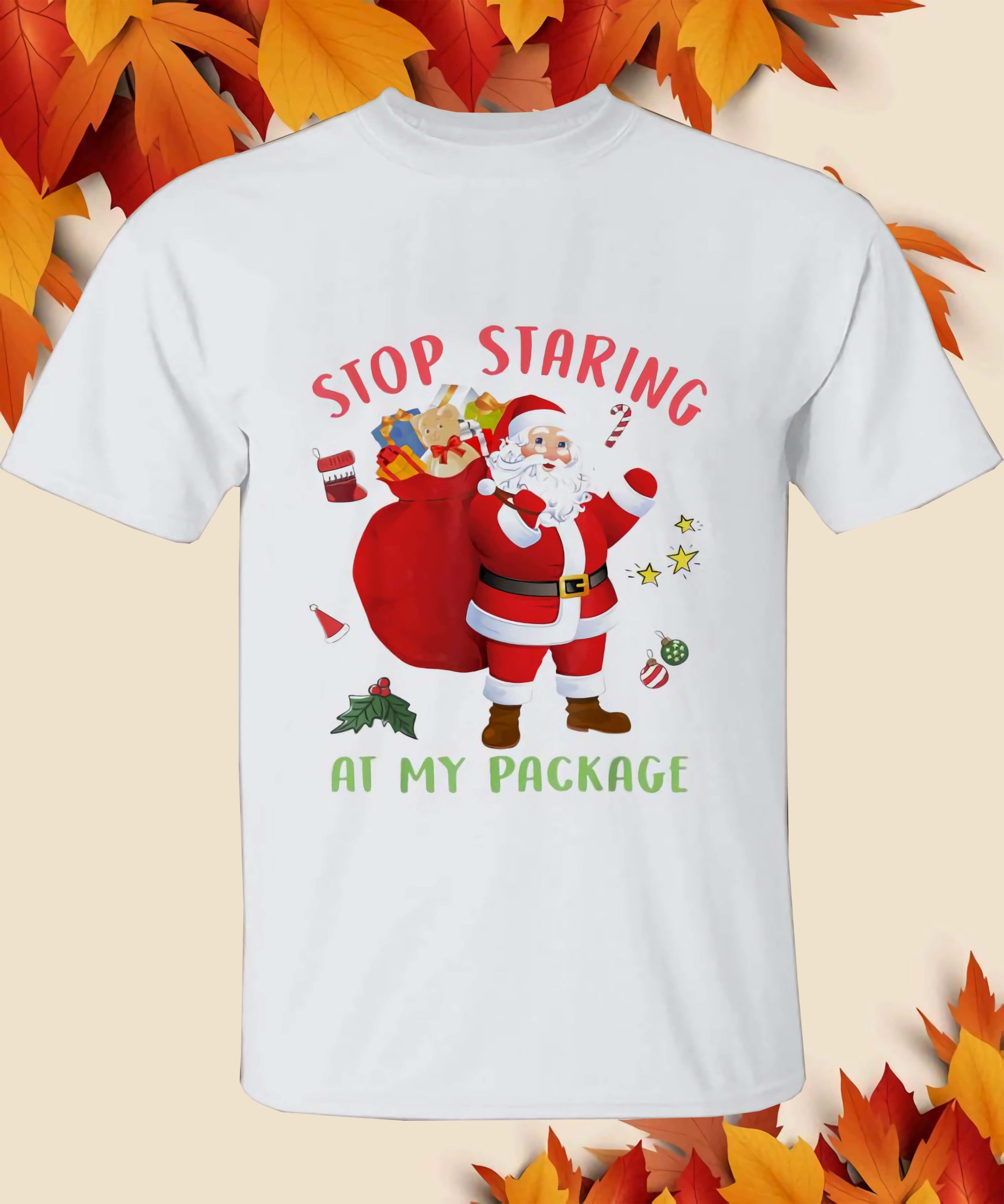 Stop Staring At My Package Santa Christmas Shirt