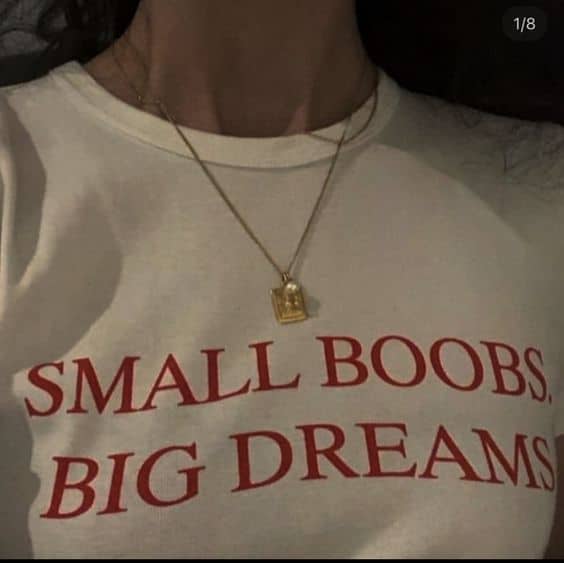 Small Boobs Big Dreams T-Shirt Small Boobs Big Dreams T-Shirt