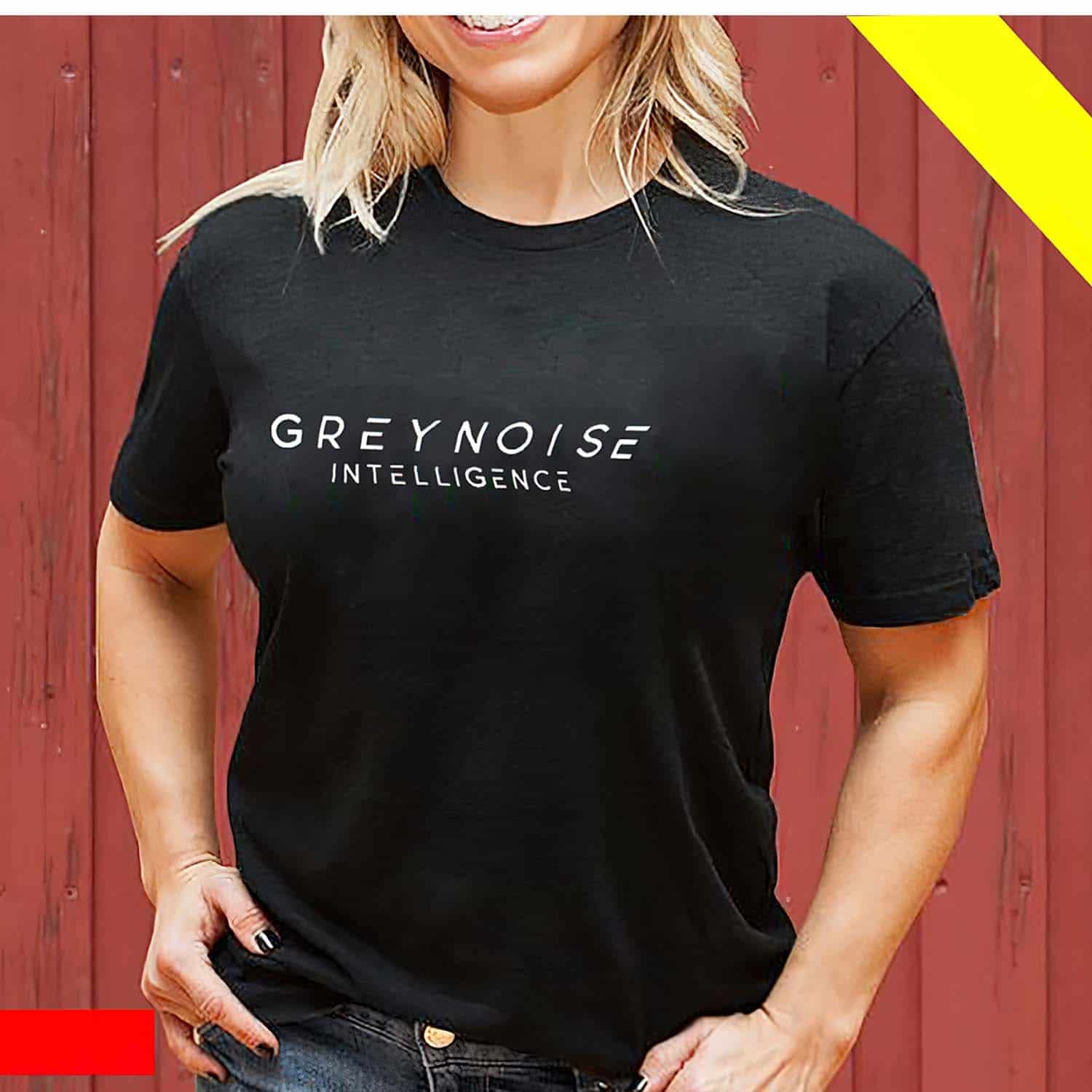 Grey Noise Intelligence Women Shirt
