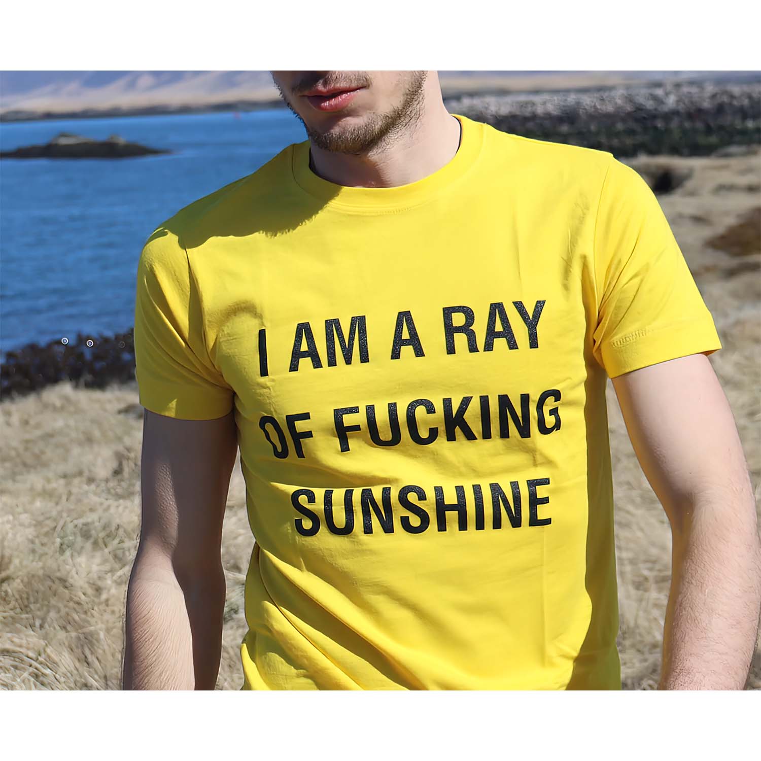 I Am A Ray Of Fucking Sunshine Shirt