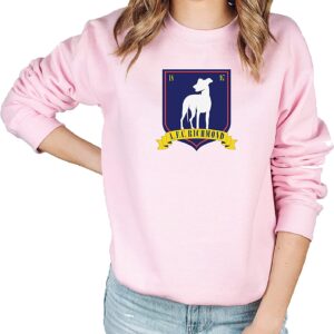Afc Richmond Sweatshirt 1 AFC Richmond shirt pink.jpg