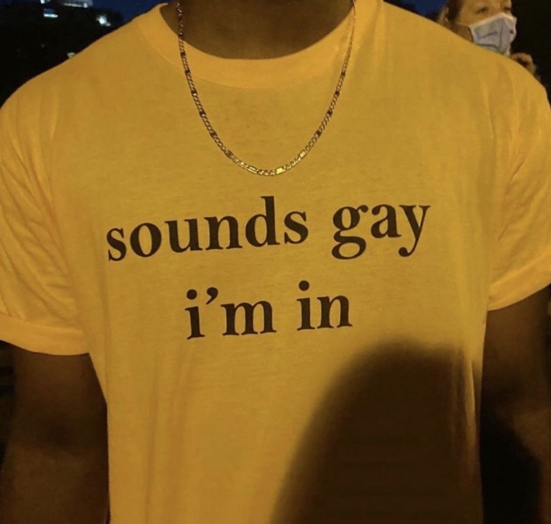 Sounds Gay I’M In Shirt Sounds Gay I’M In Shirt