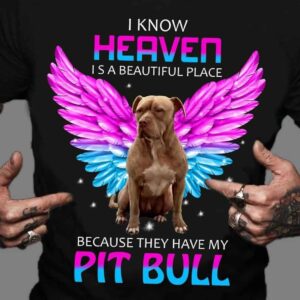 I Know Heaven Is A Beautiful Place Because They Have My Pit Bull Shirt