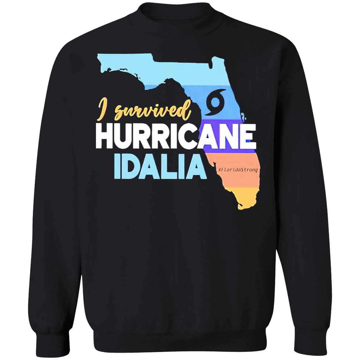 I Survived Hurricane Idalia Shirt I Survived Hurricane Idalia Shirt