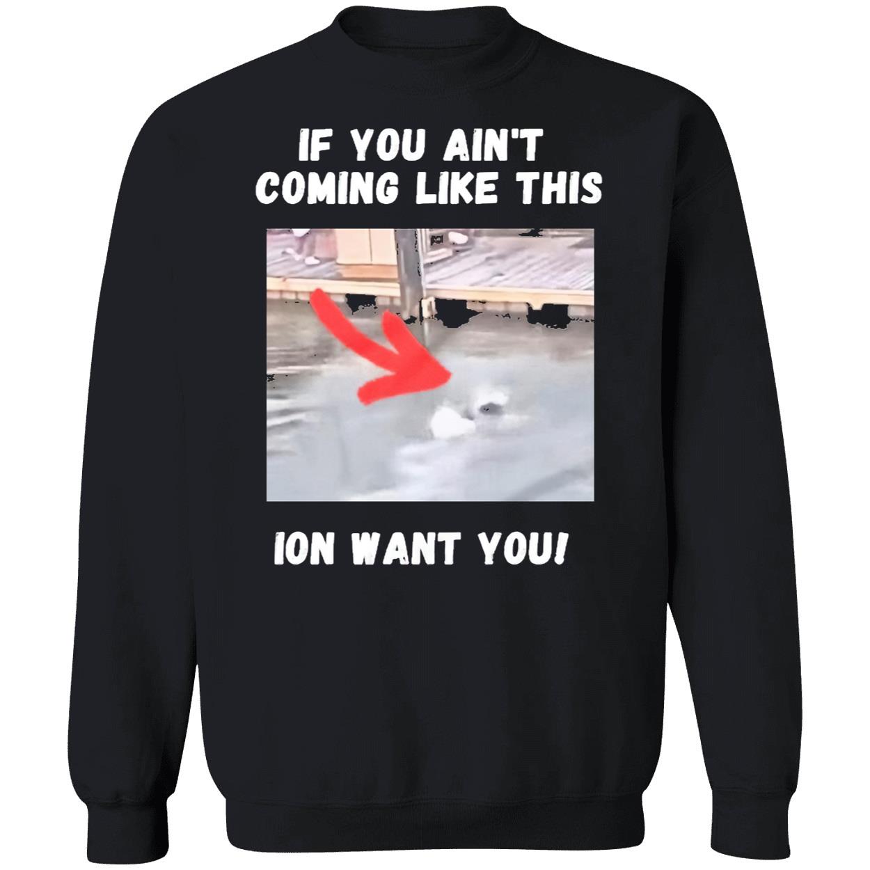 Montgomery Alabama River Brawl If You Ain’T Coming Like This Ion Want You Shirt Montgomery Alabama River Brawl If You Ain’T Coming Like This Ion Want You Shirt