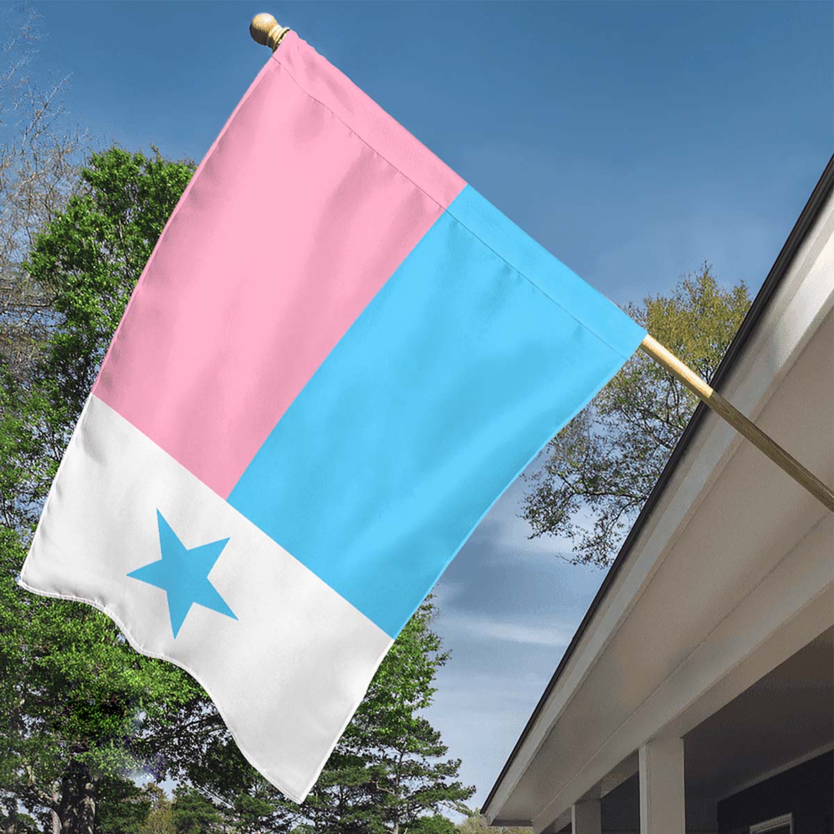 Texas Trans Pride Flag Texas Trans Pride Flag