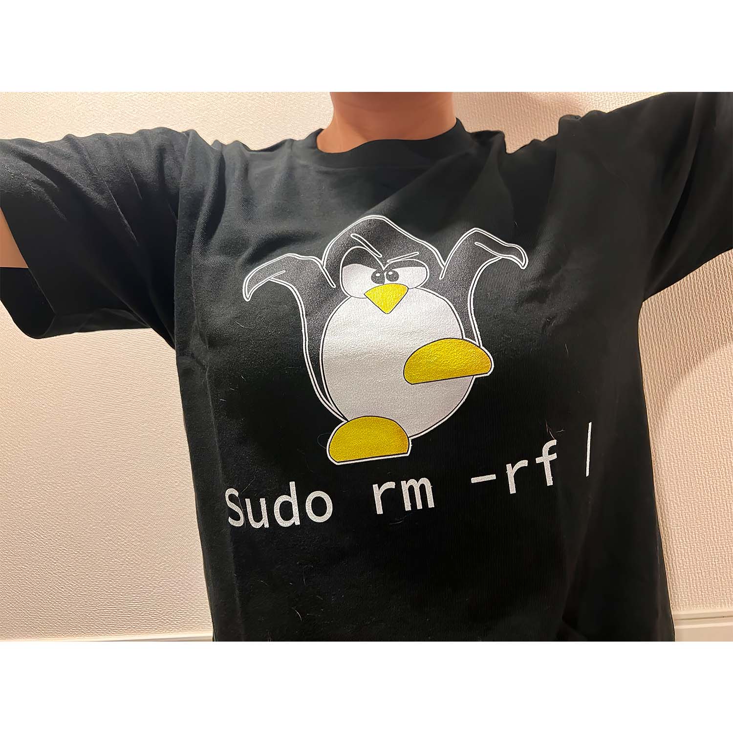 Sudo Rm Rf Shirt Sudo Rm Rf Shirt