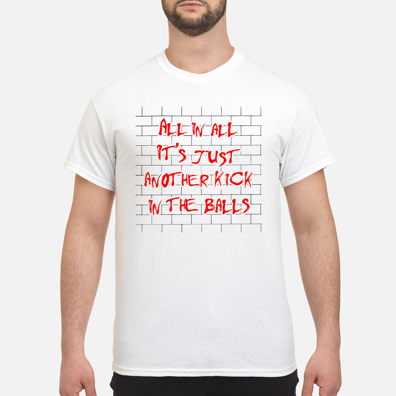 All In All It’S Just Another Kick In The Balls T-Shirt All In All It’S Just Another Kick In The Balls T-Shirt