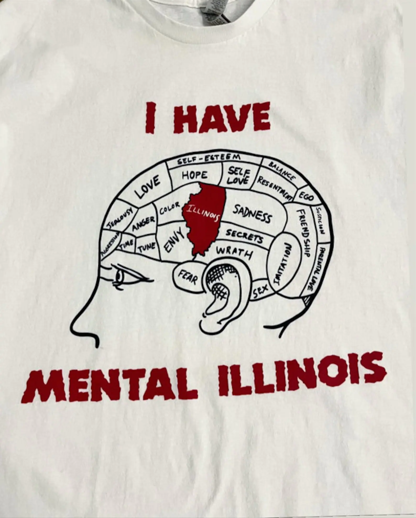 I Have Mental Illinois T-Shirt I Have Mental Illinois T-Shirt