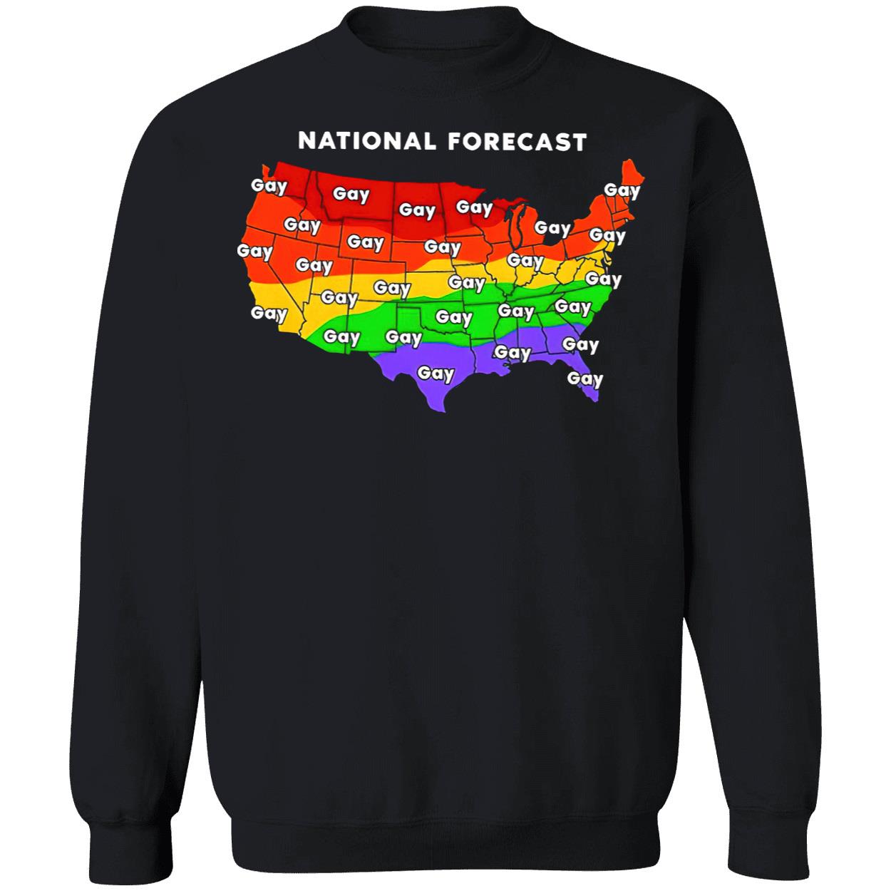 National Forecast Gay Shirt National Forecast Gay Shirt