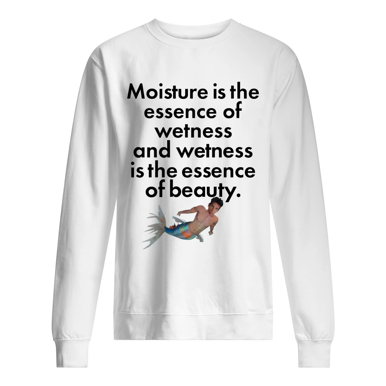 Moisture Is The Essence Of Wetness And Wetness Is The Essence Of Beauty Shirt Moisture Is The Essence Of Wetness And Wetness Is The Essence Of Beauty Shirt