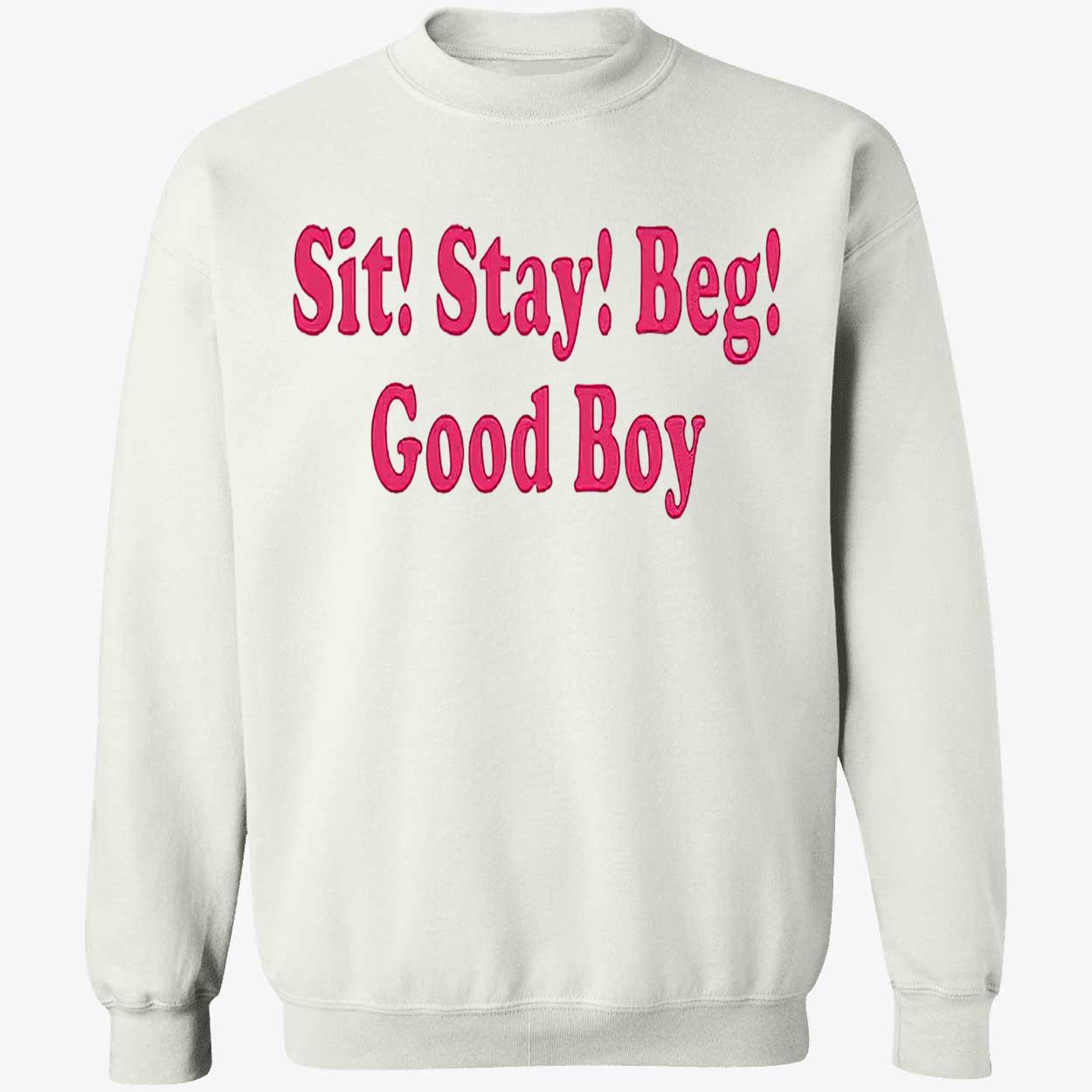 Sit Stay Beg Good Boy Shirt Sit Stay Beg Good Boy Shirt
