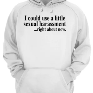 I Could Use A Little Sexual Harassment Right About Now Shirt 4 xq7ffgny2wg97rlpmolc.webp