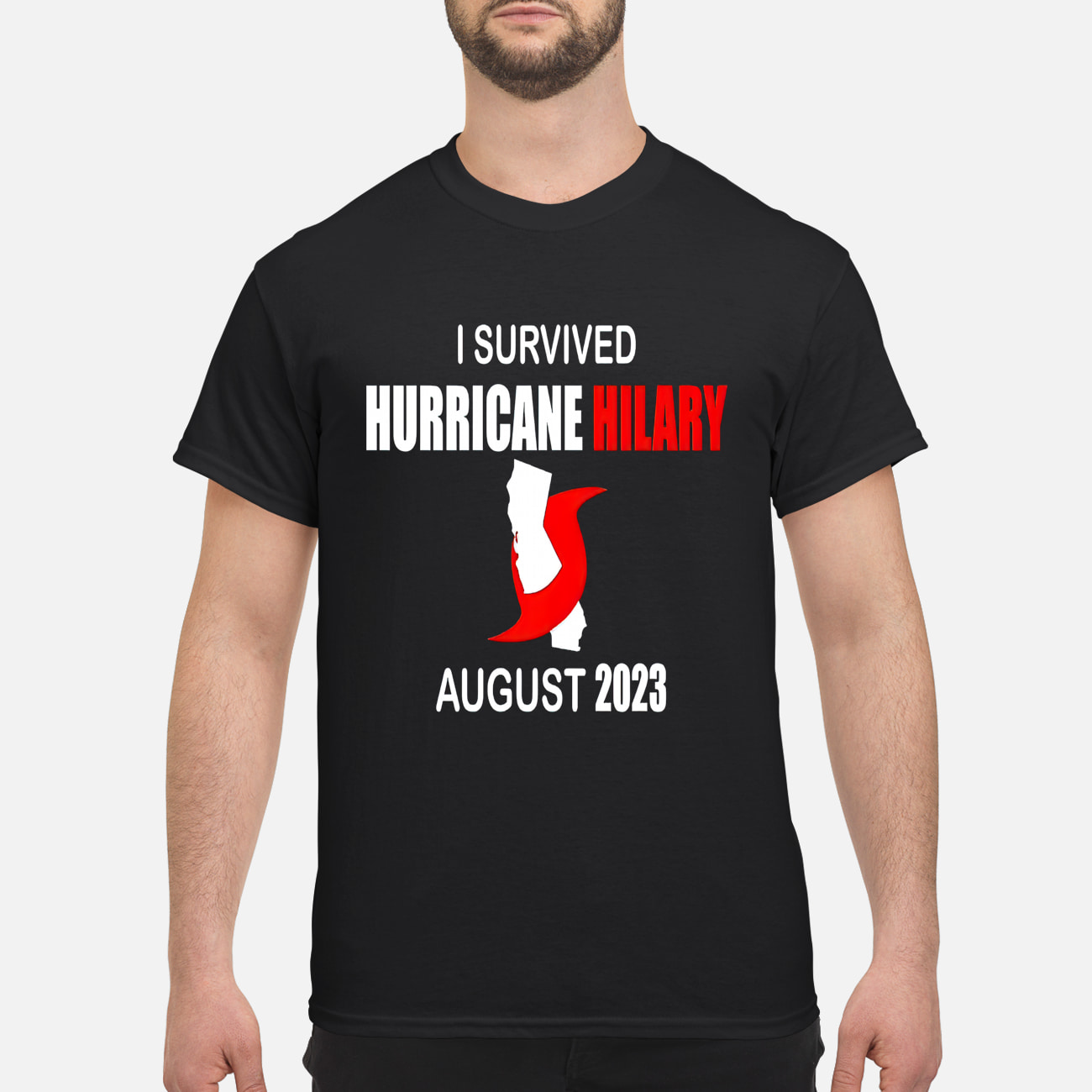 I Survived Hurricane Hilary August 2023 Shirt I Survived Hurricane Hilary August 2023 Shirt
