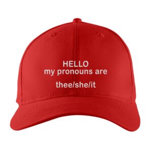 Hello My Pronouns Are Thee She It Hat 1 Hello My Pronouns Are Thee She It Hat