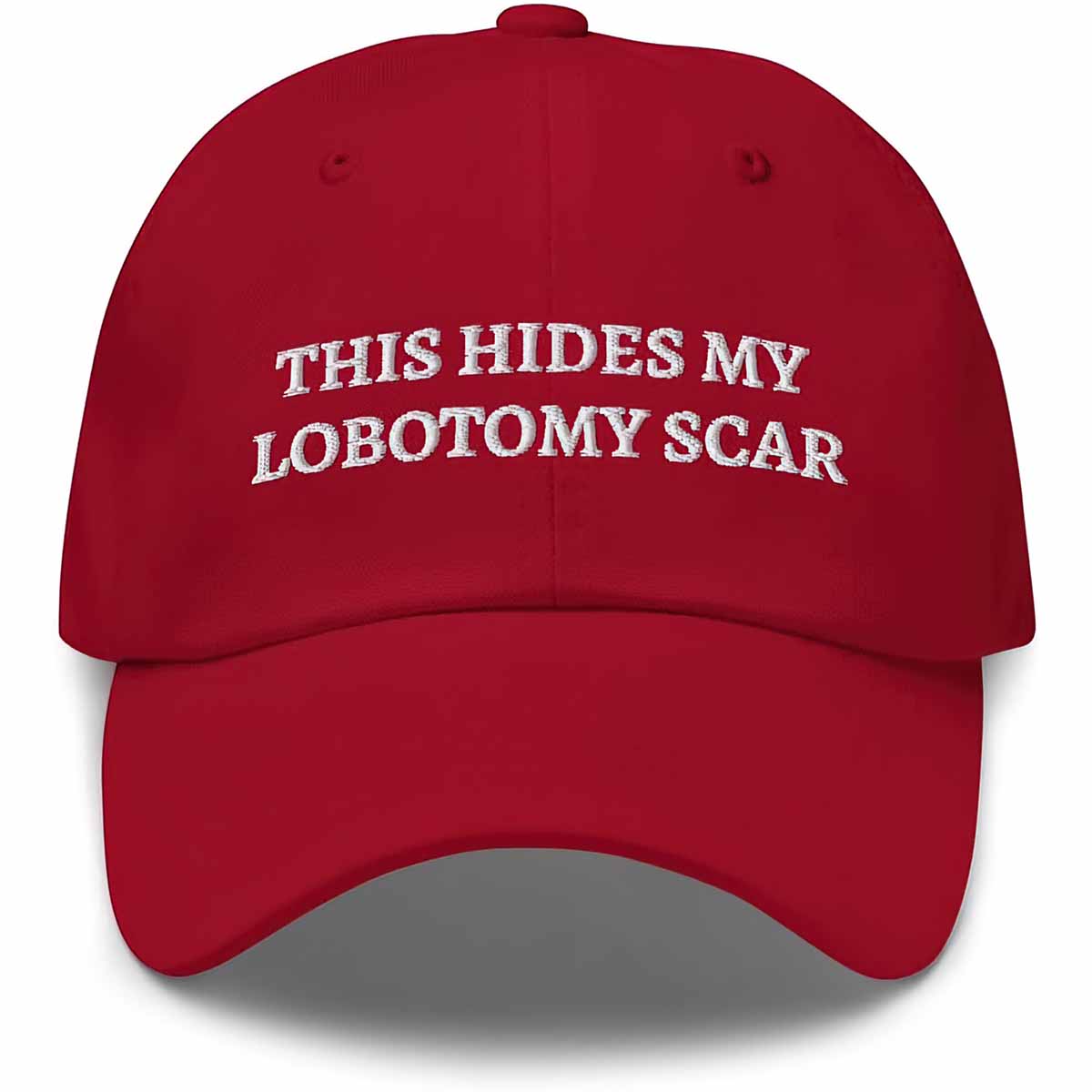 This Hides My Lobotomy Scar Hat This Hides My Lobotomy Scar Hat