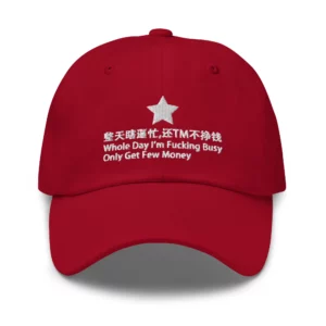 Whole Day I’m Fucking Busy Only Get Few Money Hat2