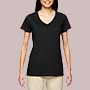 Ladies’ V-Neck T-Shirt G500VL