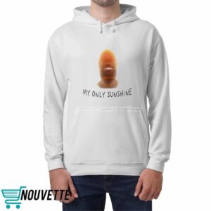 Lebron James My Only Sunshine Shirt 4 Lebron James My Only Sunshine Shirt