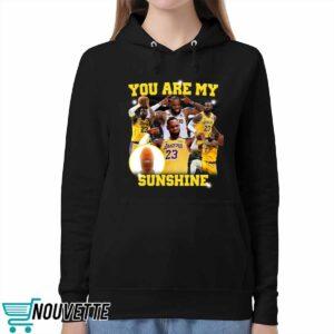 You Are My Sunshine Lebron Shirt 5 You Are My Sunshine Lebron Shirt