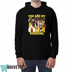 You Are My Sunshine Lebron Shirt 4 You Are My Sunshine Lebron Shirt