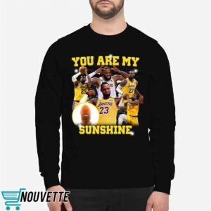 You Are My Sunshine Lebron Shirt 2 You Are My Sunshine Lebron Shirt