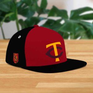 Twins Harry Potter Night Baseball Hat Giveaway 2024 6 Twins Harry Potter Night Baseball Hat Giveaway 2024