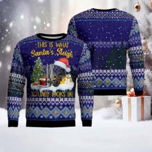 This Is What Santa Sleigh Actually Looks Like Christmas Sweater