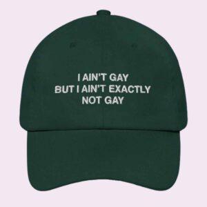 I Ain't Gay But I Ain't Exactly Not Gay Hat