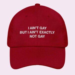 I Ain't Gay But I Ain't Exactly Not Gay Hat
