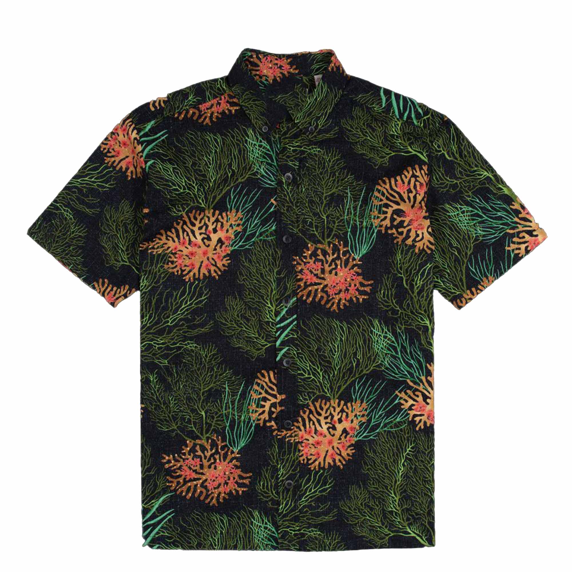 Baylee Littrell American Idol Hawaiian Shirt 2025 Baylee Littrell American Idol Hawaiian Shirt 2025