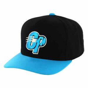 Panthers CP Hat 2025 Panthers CP Hat 2025