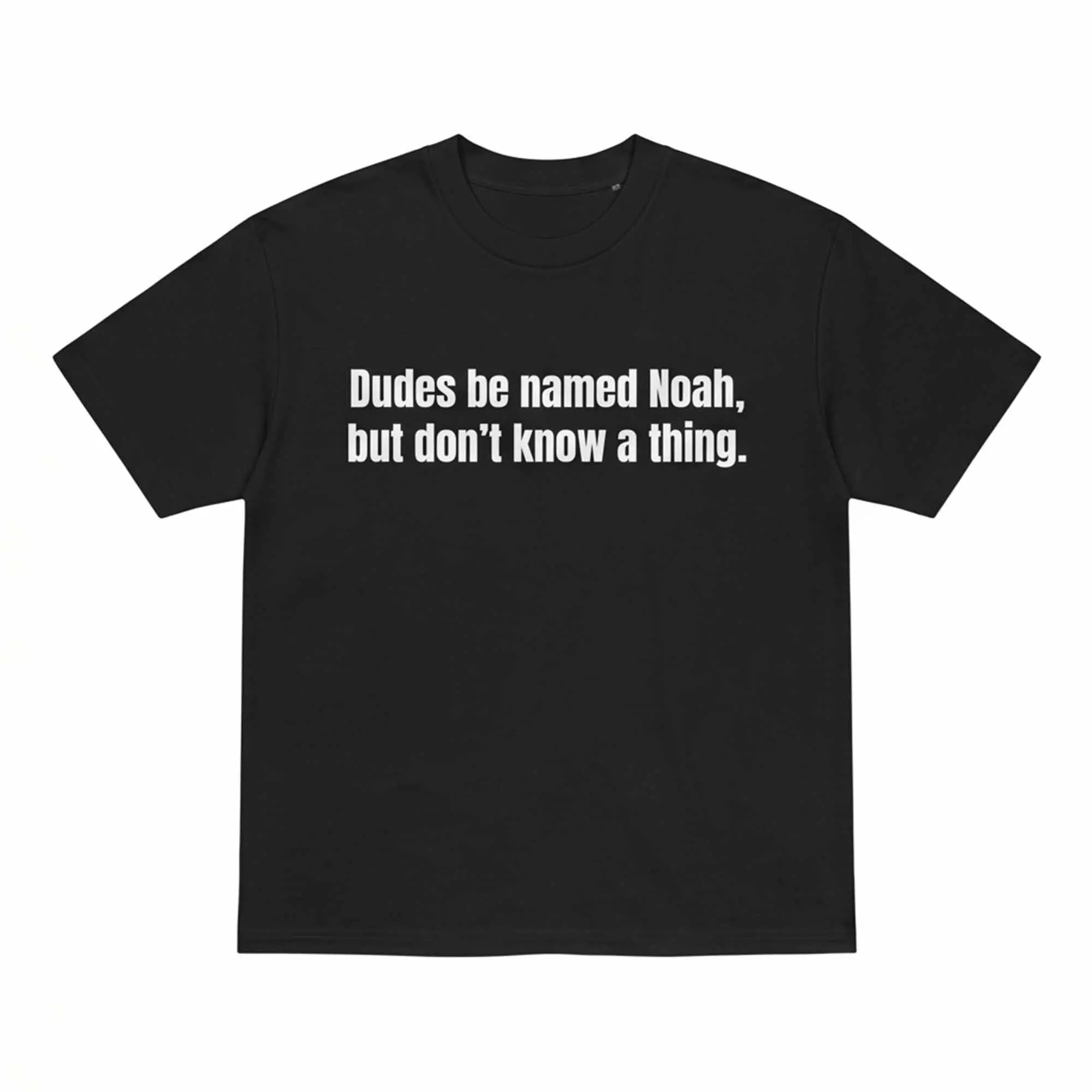 Dudes Be Named Noah But Don’t Know A Thing Shirt Dudes Be Named Noah But Don’t Know A Thing Shirt