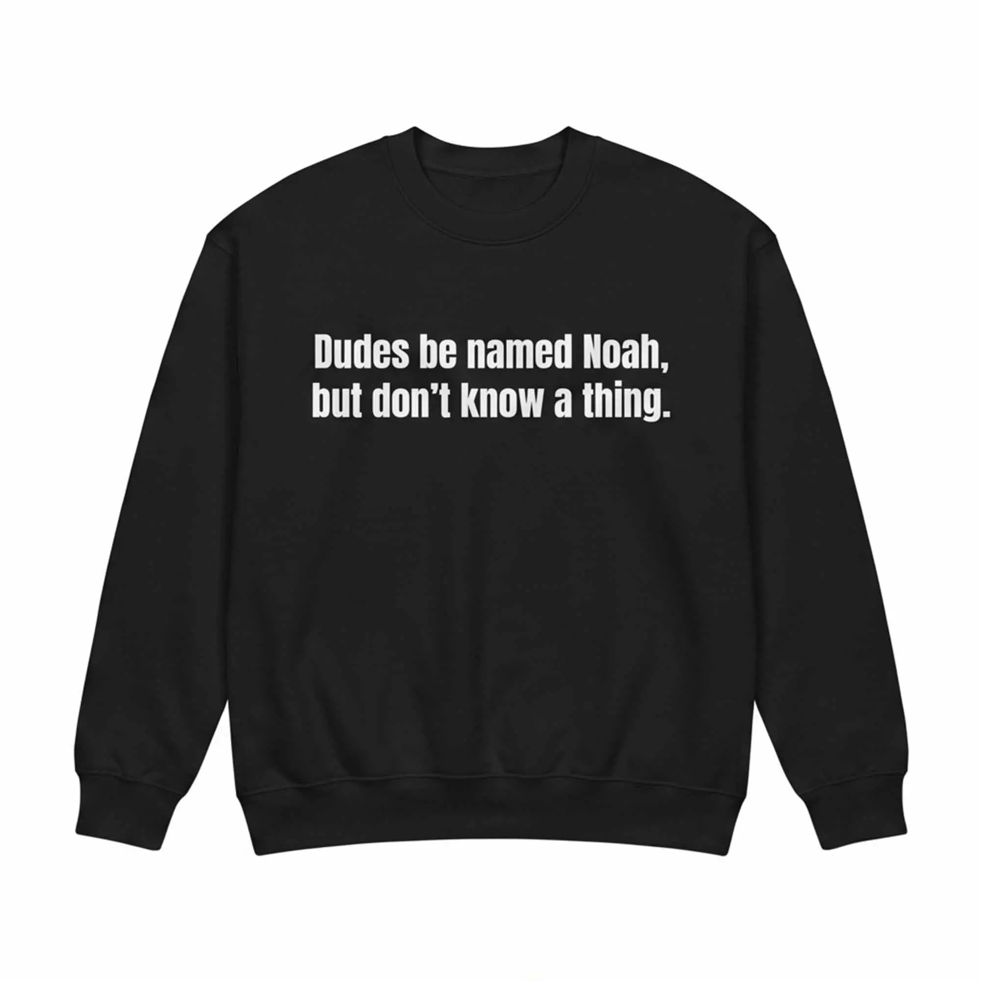 Dudes Be Named Noah But Don’t Know A Thing Shirt Dudes Be Named Noah But Don’t Know A Thing Shirt