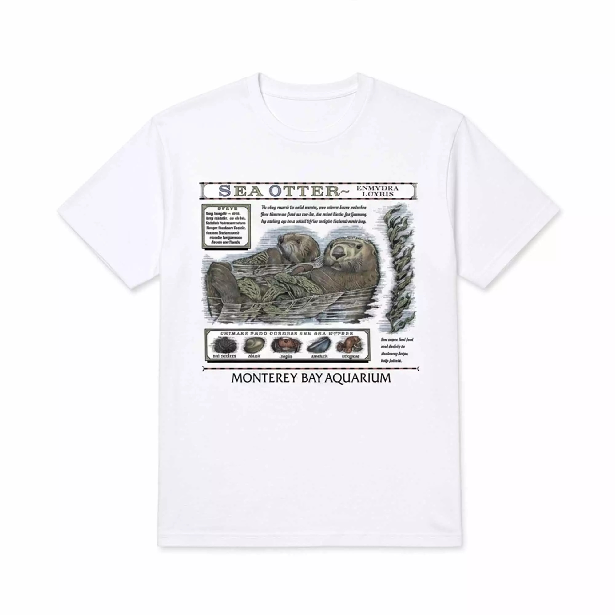 2026 Taylor Swift Sea Otter Monterey Bay Aquarium Shirt 2026 Taylor Swift Sea Otter Monterey Bay Aquarium Shirt