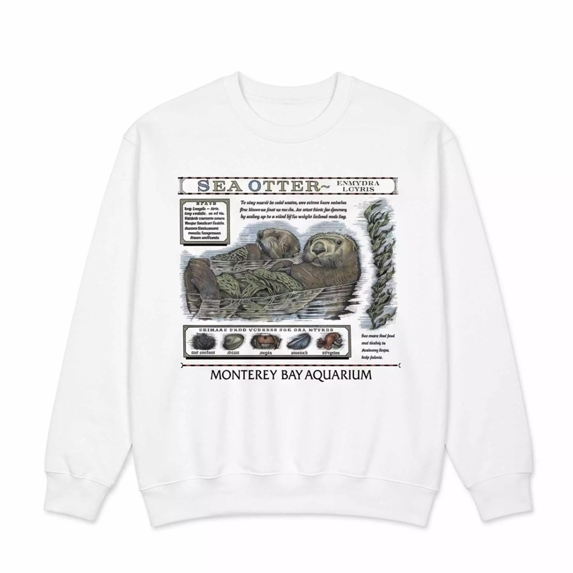 2026 Taylor Swift Sea Otter Monterey Bay Aquarium Shirt 2026 Taylor Swift Sea Otter Monterey Bay Aquarium Shirt